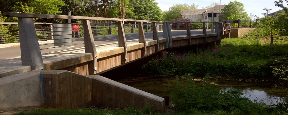 Bute Park Access Bridge, Cardiff