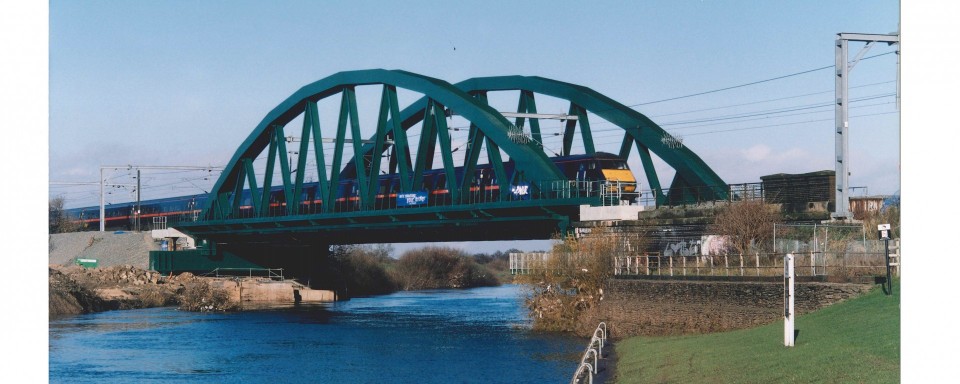 The bridge blending into its setting