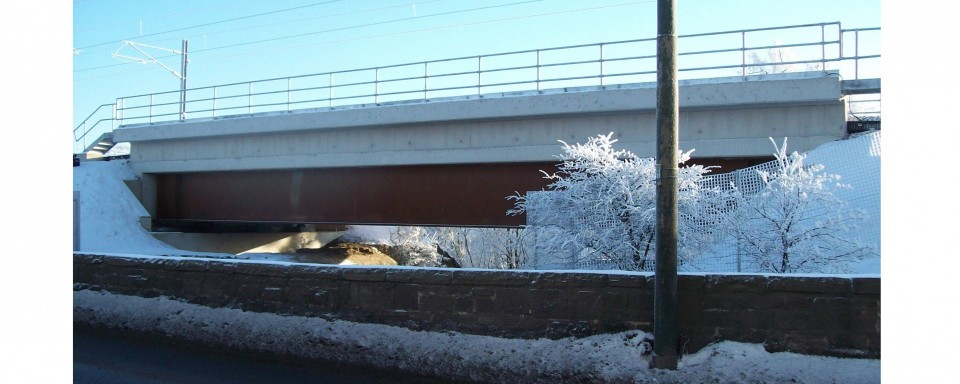 A picturesque winter view of the steel bridge