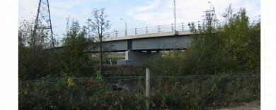 The central pier of the long span