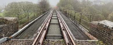 Ynys Dawley - Trackside